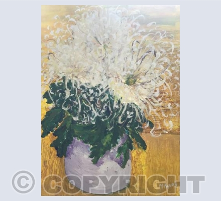 Chrysanthemums 