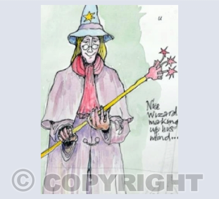 Nice Wizard
