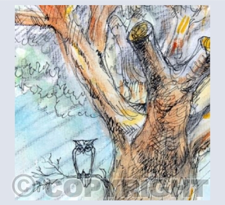 Owl in a Tree