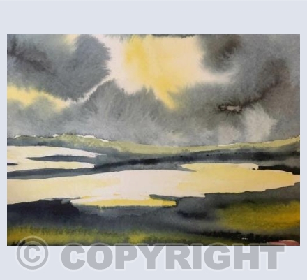 Taw and Torridge estuary