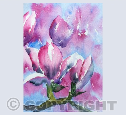 Magnolias
