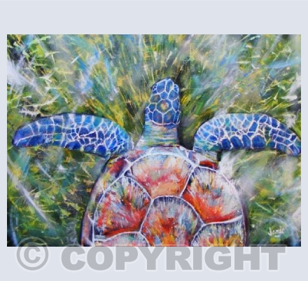 Sea Turtle