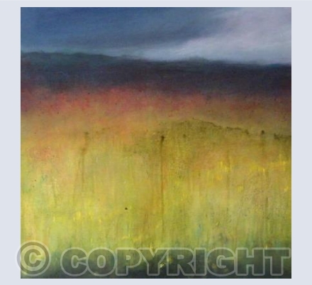 Sedgemoor in spring