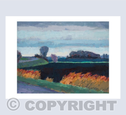 Winter Fen
