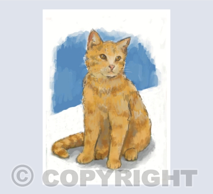 Ginger