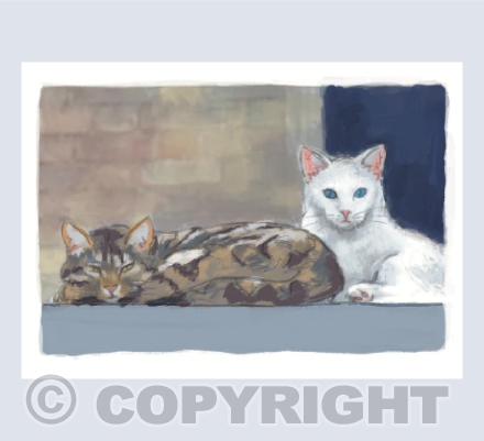 Cats on the Roof