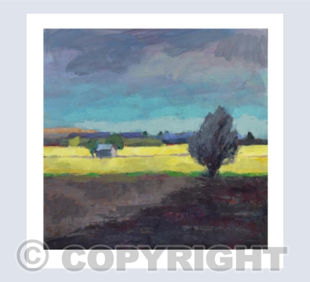 Yellow Field
