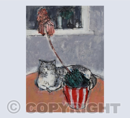 Cat and Plant