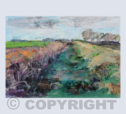 Fen Ditch
