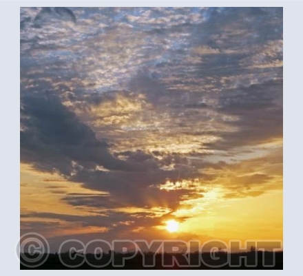 Fen Sunset