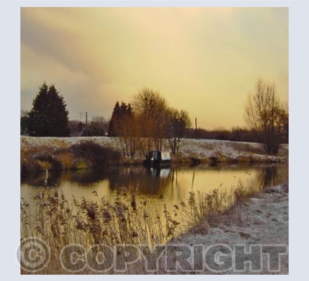 River Lark in Winter