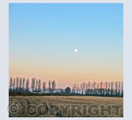 Dusk