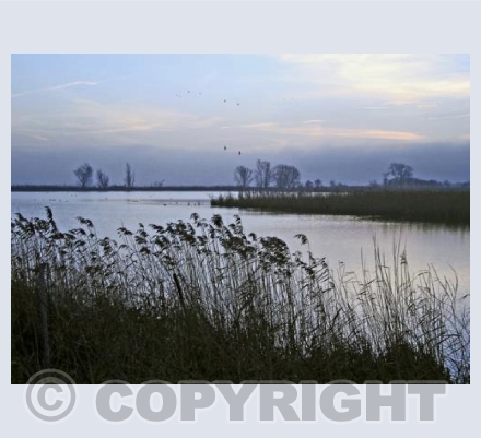 Fen Water