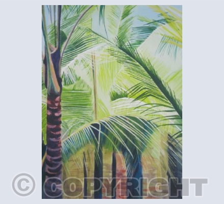 Palm Trees
