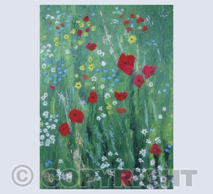 Wild Poppies