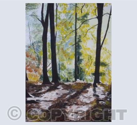 Autumn Wood