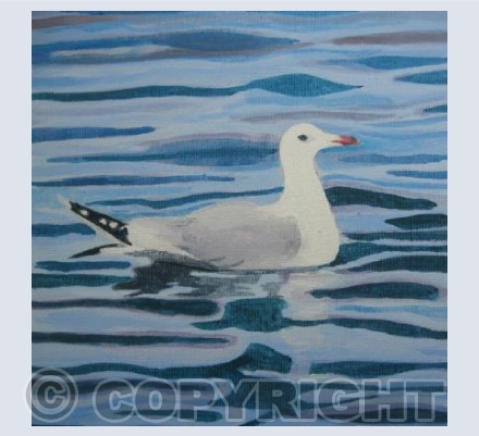 The Seagull
