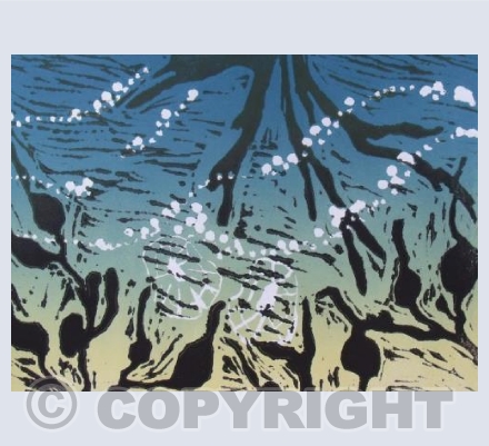 Shoreline