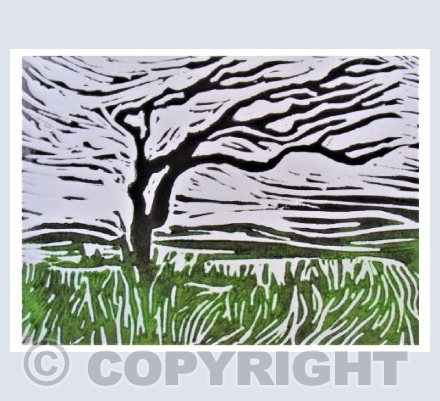 Windswept Tree