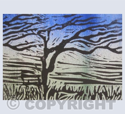 Windswept Tree Blue Sky