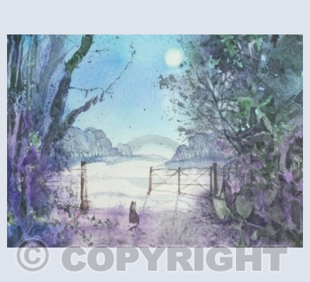 Country cat in the moonlight