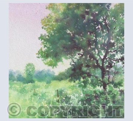 Summer Tree
