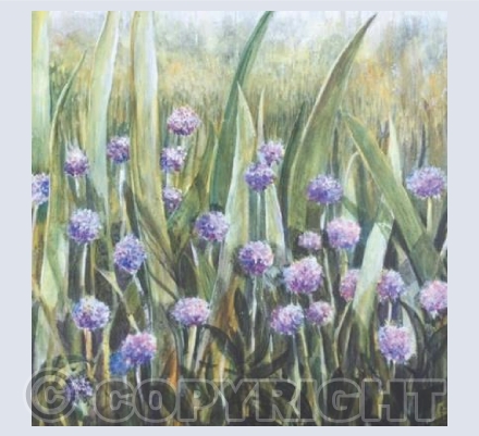 Chives an Iris