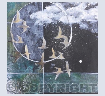 Night migration