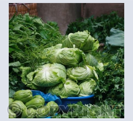 Lush Sapa Veg