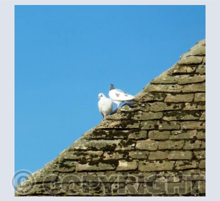 Rooftops of Calne - Wiltshire
