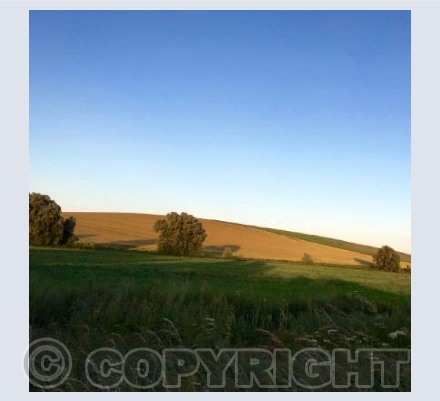 Cherhill - Calne - Wiltshire