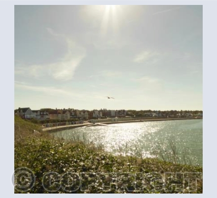 West Bay - Westgate