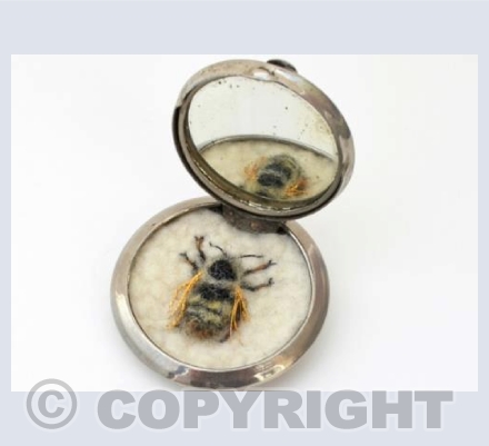 Queen Shrill Carder Bee