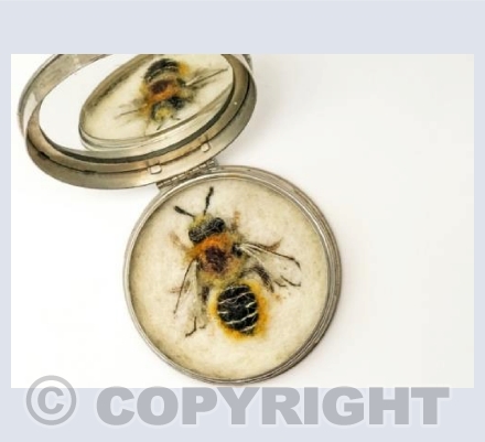 Female Patchwork Leafcutter Bee