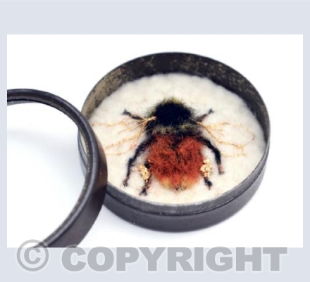 Queen Bilberry Bumblebee 