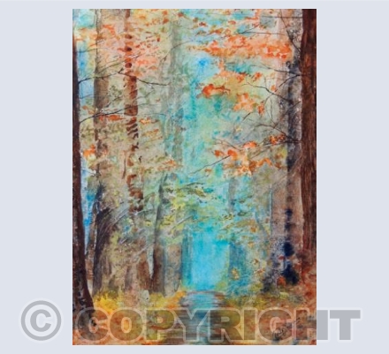 Autumn contrasts