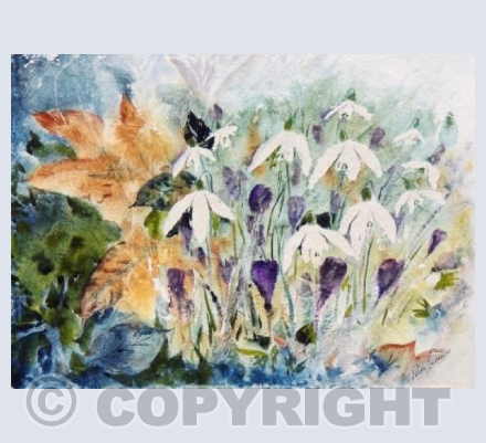 Snowdrops and crocus