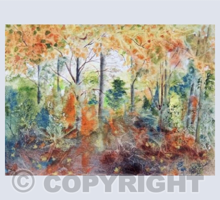 Falling Leaves