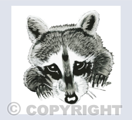 Bandit