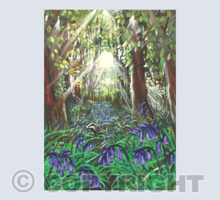 Badger Glade