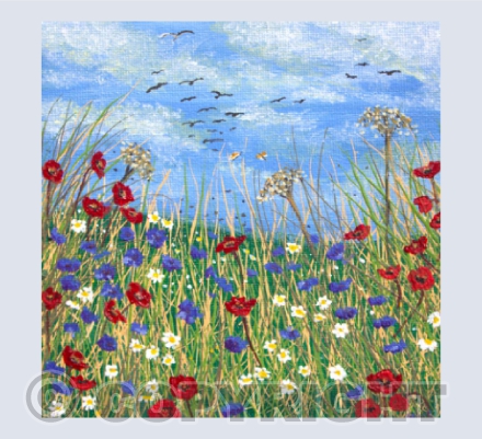 Wildflower meadow