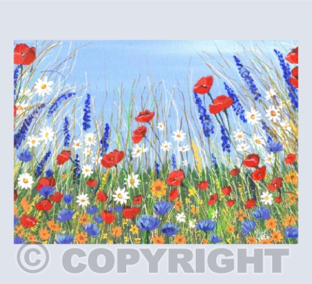 Poppy Flower Meadow