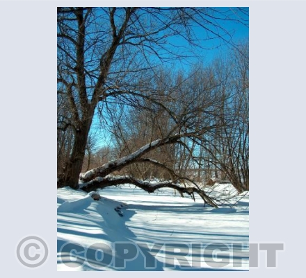 Frozen River