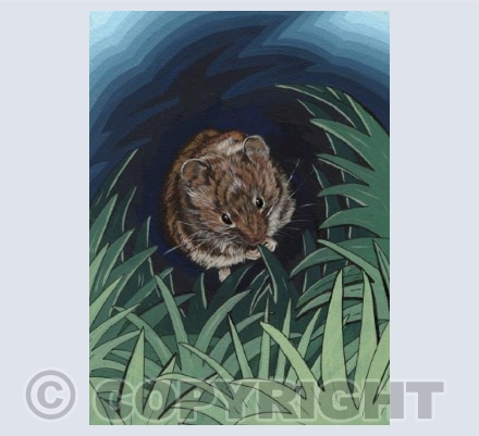 The Flying Mouse