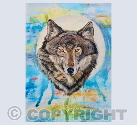 Staring Wolf