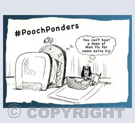 Pooch Ponders Man Flu