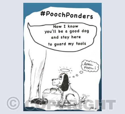 Pooch Ponders Obedience