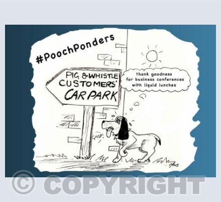 Pooch Ponders Liquid Lunch