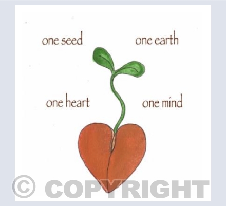 One Seed