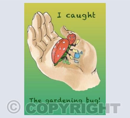 The Gardening Bug